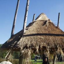 Hay Barrack Roof